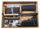 PTW M4A1 MAX 2012, M150, Crane, Ultimate Challenge Kit, Systema